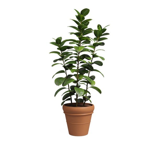 Terakotas puķu pods ø 47 cm Mariza – Artevasi-image-4