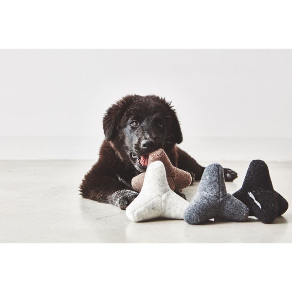 Rotaļlieta suņiem Quattro Greige S/M – MiaCara-image-2