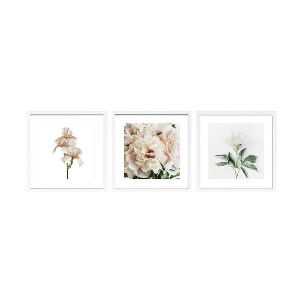 Drukātas gleznas (3 gab.) ar rāmi 30x30 cm Posy – Styler