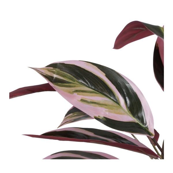 Mākslīgais augs (augstums 55 cm) Bird of Paradise – Ixia-image-3