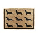 Kokosšķiedras kājslauķis 40x60 cm Dachshund – Artsy Doormats
