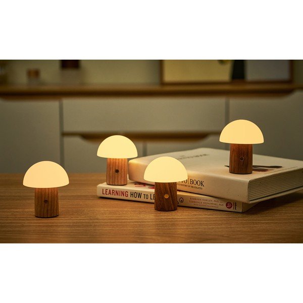 Dabīga toņa oša masīvkoka LED galda lampa ar regulējamu spilgtumu (augstums 7 cm) Alice – Gingko-image-1