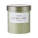 Aromātiskā sojas vaska svece degšanas laiks 45 h Valoa Fig Tree – Lime – Blomus