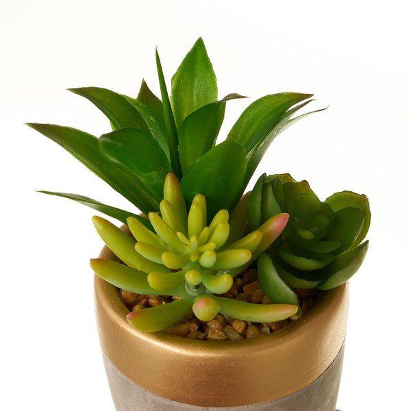 Mākslīgie augi (4 gab.) (augstums 17 cm) Cactus – Casa Selección-image-4
