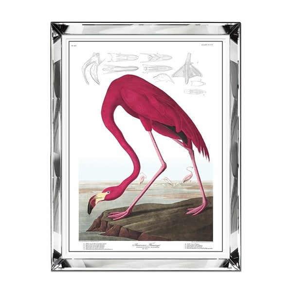 Sienas glezna JohnsonStyle Flamingo, 71 x 91 cm