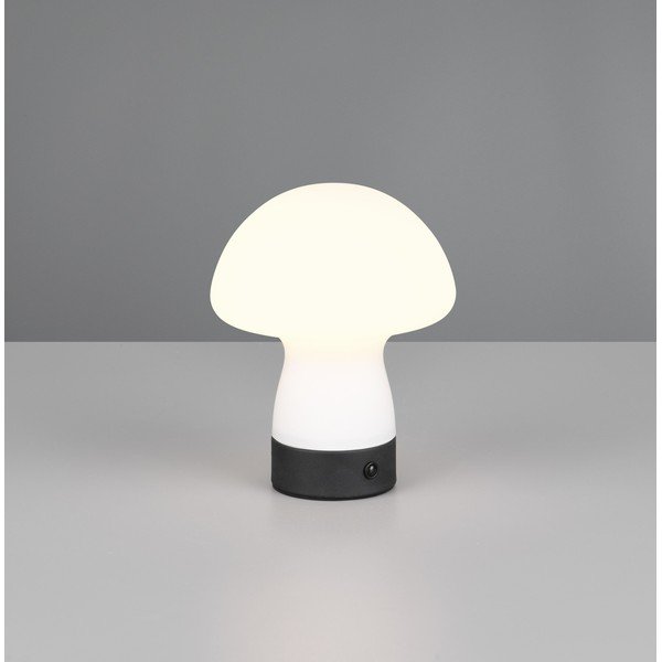 Matēti balta LED galda lampa ar stikla abažūru (augstums 18 cm) Dooley – Reality-image-1