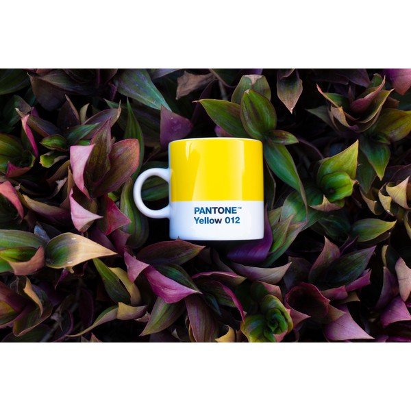 Dzeltena espreso porcelāna tasīte 120 ml Yellow 012 – Pantone-image-1