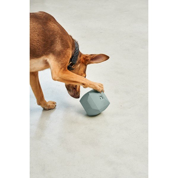 Rotaļlieta suņiem Dado Eucalyptus – MiaCara-image-2