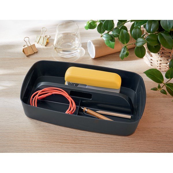 Pelēks organizators ar rokturi Leitz MyBox-image-2