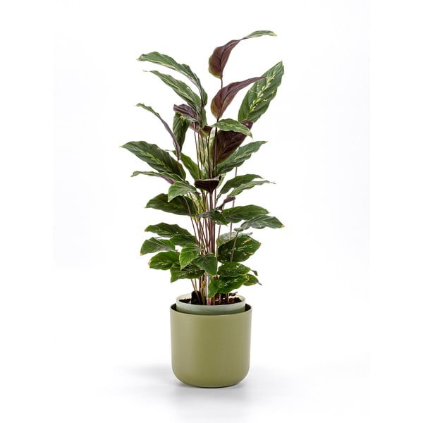 Zaļš pašapūdeņojošs puķu pods Plastia Tolita, ø 16 cm-image-1