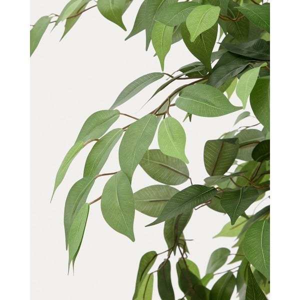 Mākslīgais fikuss (augstums 180 cm) Ficus – Kave Home-image-3
