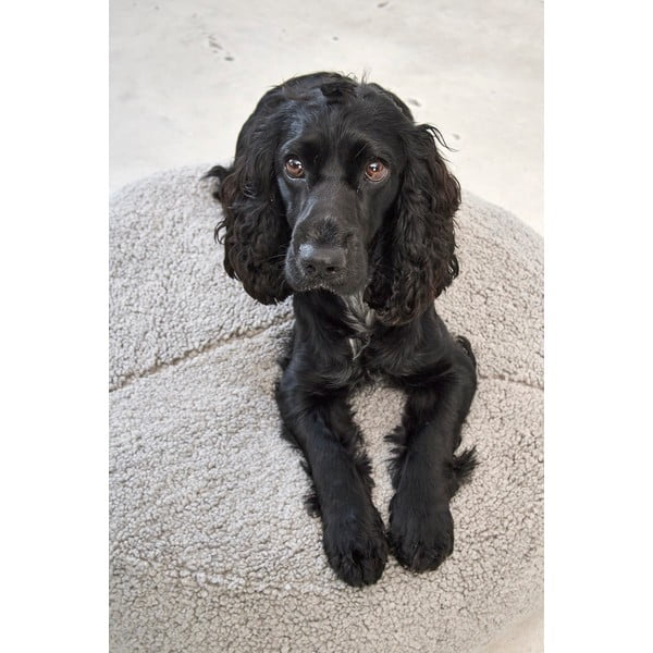 Pelēka buklē mājdzīvnieku gulta suņiem ø 90 cm Senso Pouffe Pebble M/L – MiaCara-image-2