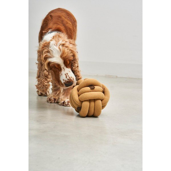 Rotaļlieta suņiem Tubo Curry – MiaCara-image-3