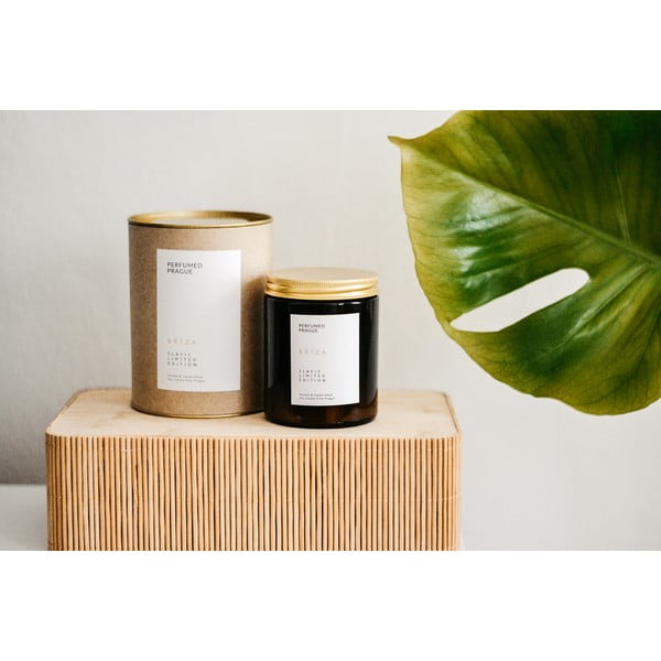 Aromātiskā sojas vaska svece degšanas laiks 40 h Slavic Edition: #01 Birch – Perfumed Prague-image-3