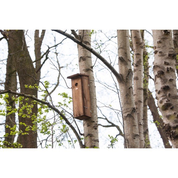 Koka putnu būda – Esschert Design-image-1