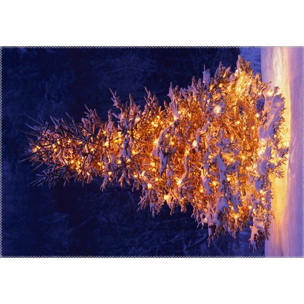 Paklājs Vitaus Ziemassvētku perioda izgaismota eglīte ārā, 50 x 80 cm