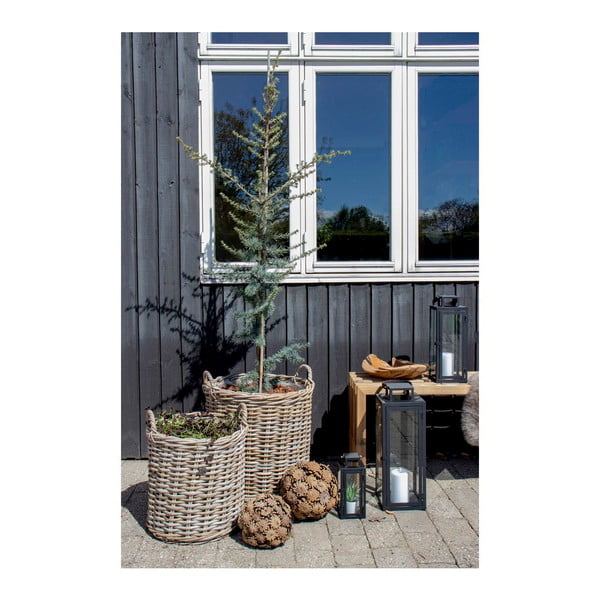 2 rotangpalmas grozu komplekts House Nordic Indo-image-2