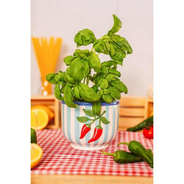 Keramikas ar rokām apgleznots puķu poda apvalks ø 12 cm Chilli – Sass & Belle-image-1