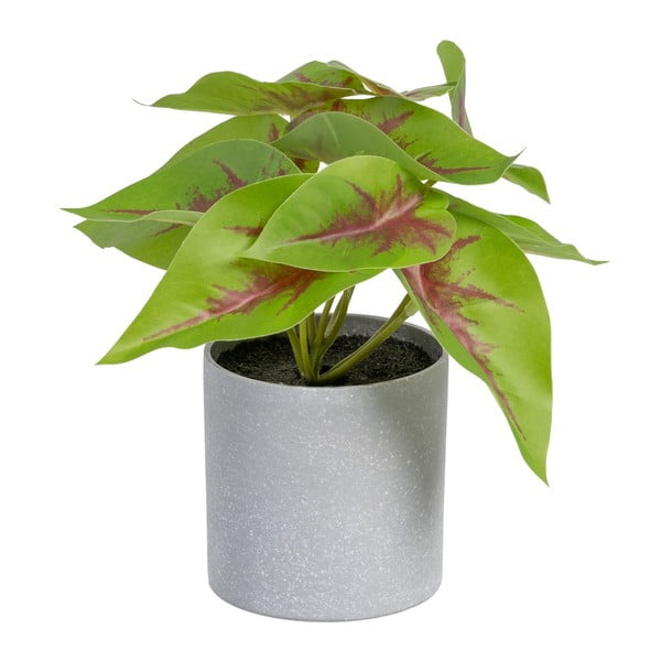 Mākslīgais augs (augstums 20 cm) Syngonium – Ixia