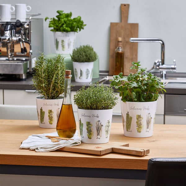 2 keramikas puķu podi garšaugiem ø 14 cm. Dalllas Culinary – Big pots-image-2
