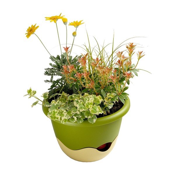 Zaļi baltsiekarināms pašapūdeņojošs puķu pods Plastia Mareta, garums 25 cm-image-2