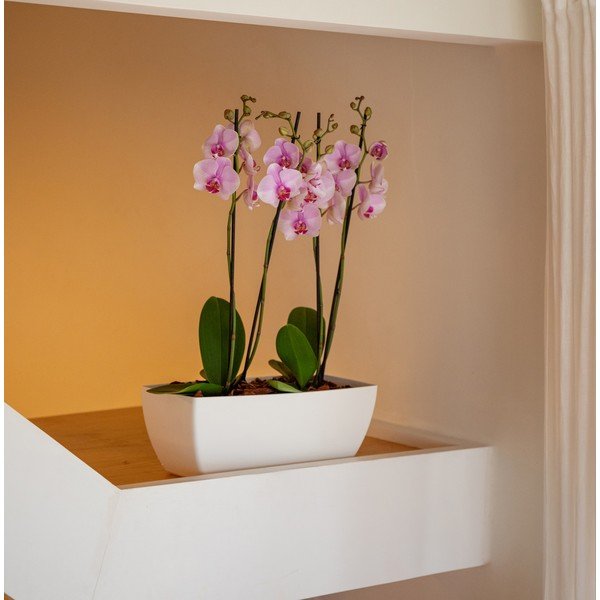 Pārstrādātas plastmasas puķu kaste 40 cm Siena – Artevasi-image-4