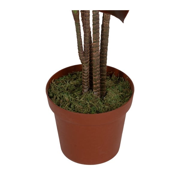 Mākslīgais augs (augstums 170 cm) – Ixia-image-3