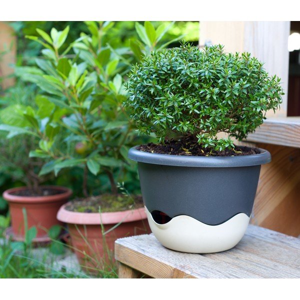 Zili balts iekarināms pašapūdeņojošs puķu pods Plastia Mareta, garums 30 cm-image-1