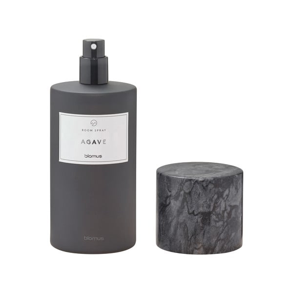 Interjera smaržas 100 ml Frabli: Agave – Blomus