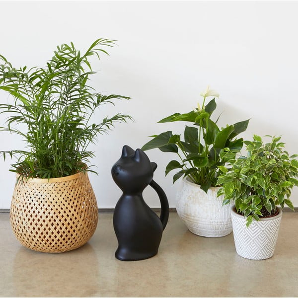 Plastmasas lejkanna 2 l Meow – Balvi-image-1