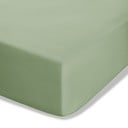 Zaļš palags no perkala ar gumiju 90x190 cm Easy Iron Percale – Catherine Lansfield