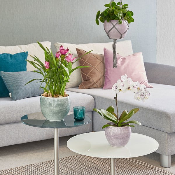 Keramikas puķu pods ø 22 cm Manacor Deluxe – Big pots-image-1