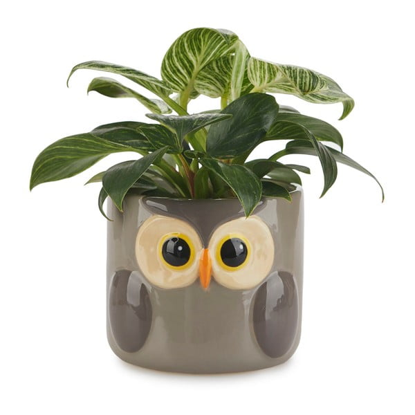 Keramikas puķu pods ø 13,5 cm Owl – Balvi-image-2