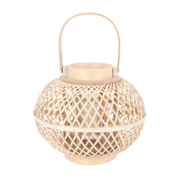 Bambusa laterna (augstums 24 cm) – Ego Dekor