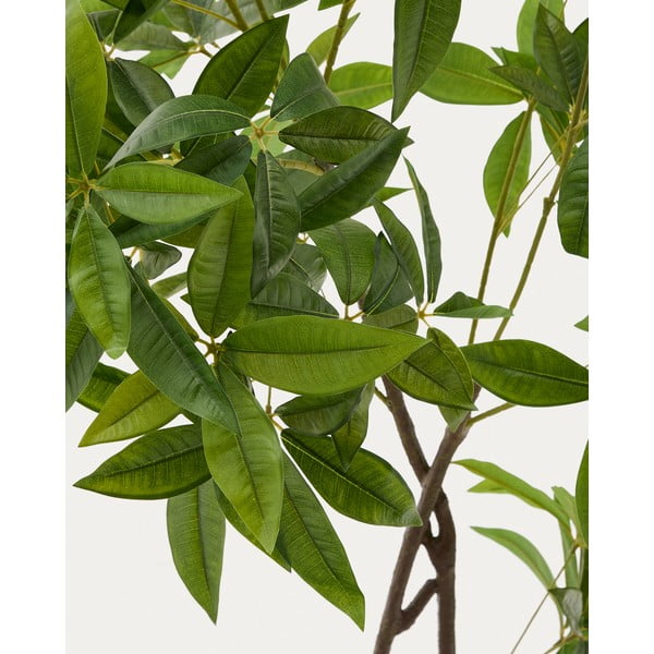 Mākslīgais augs (augstums 180 cm) Pachira – Kave Home-image-1