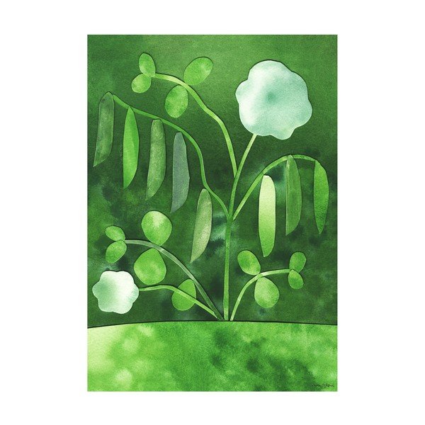 Plakāts 50x70 cm Peas in Bloom – Anna Ravn Bjørn – The Poster Club
