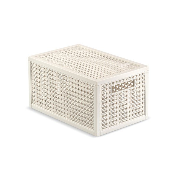 Krēmkrāsas uzglabāšanas kaste ar vāku no pārstrādātas plastmasas 19x30x15 cm Kaya – Curver