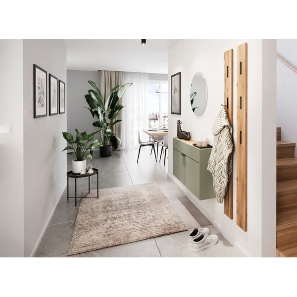 Salvijas zaļš skapītis 110x57x22 cm Ameca – Germania-image-1