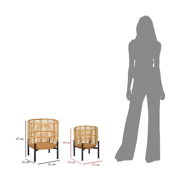 2 rotangpalmas podiņu komplekts Mauro Ferretti, augstums 47 cm-image-2