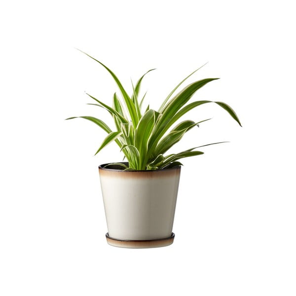 Akmensmasas puķu pods ø 14 cm Gastro  – Bitz-image-1