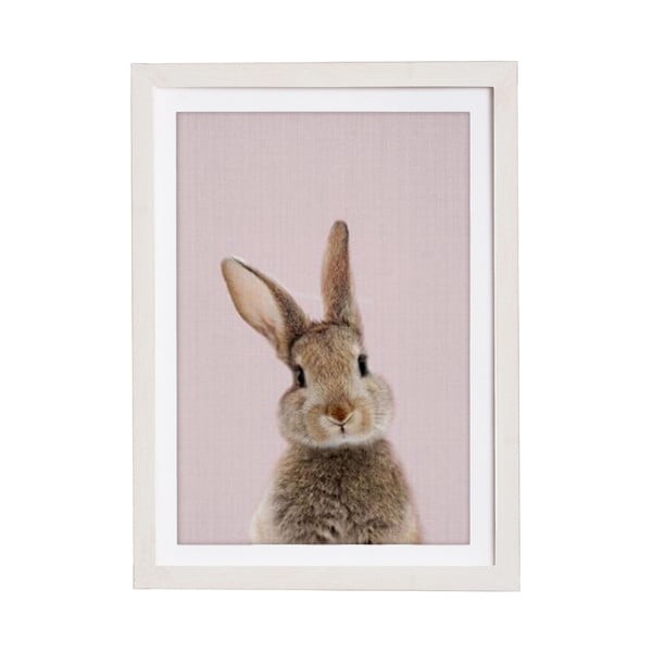 Attēls rāmī Querido Bestiario Baby Rabbit, 30 x 40 cm