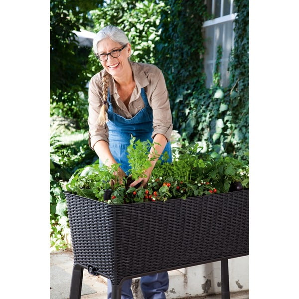 Puķu kaste Easy Grow – Keter-image-3