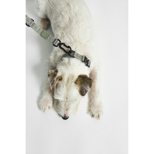 Zaļa kaklasiksna S/M garums 32 cm Modena Grolive S/SM – MiaCara-image-1