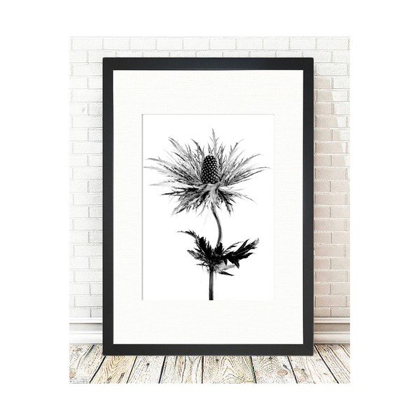 Plakāts 24x29 cm Thistle Vibes - Tablo Center-image-1