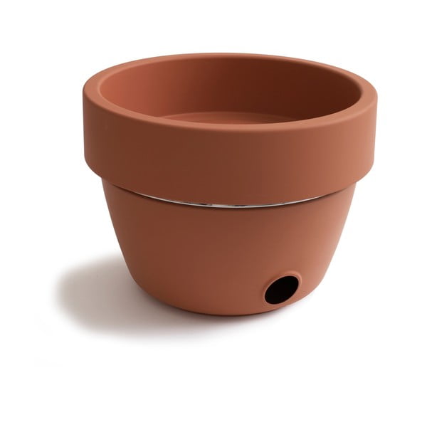 Grils jeb garšaugu podiņš-image-3