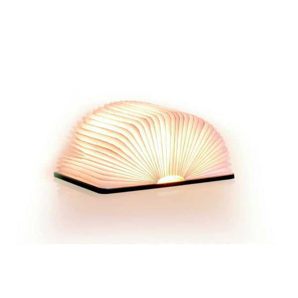 Dabīga toņa gaismas dekors ar USB Booklight – Gingko-image-3