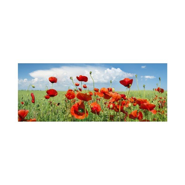 Stikla glezna Insigne Saskia, 92 x 36 cm-image-1