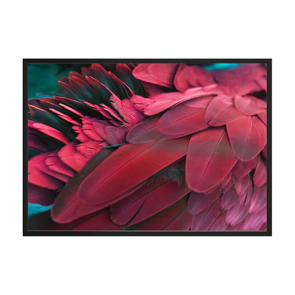 Plakāts DecoKing Feathers Red, 100 x 70 cm