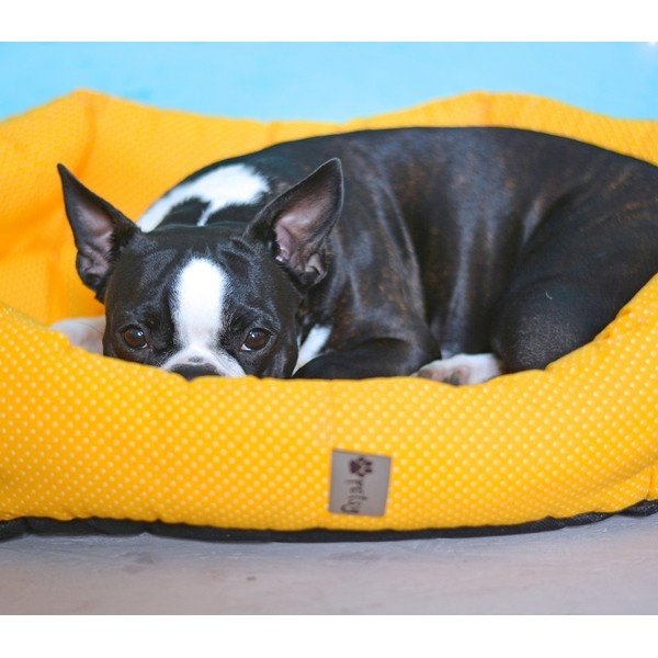 Dzeltena kokvilnas gulta mājdzīvniekiem 75x60 cm Sunny – Petsy-image-1