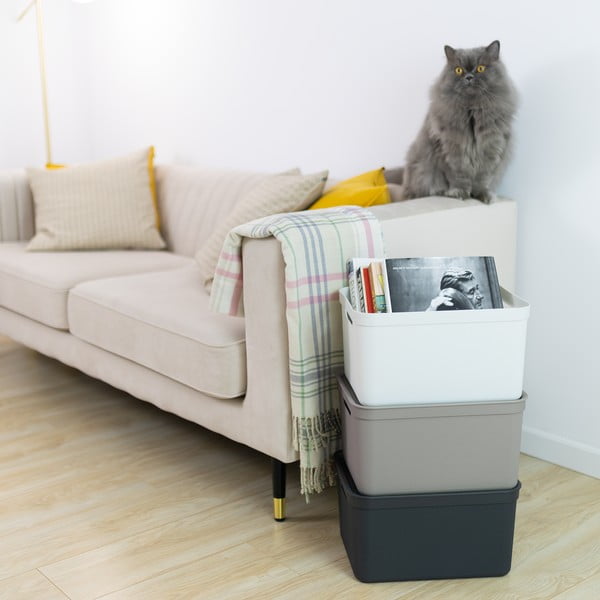 Plastmasas uzglabāšanas kaste ar vāku Deco – Rotho-image-1